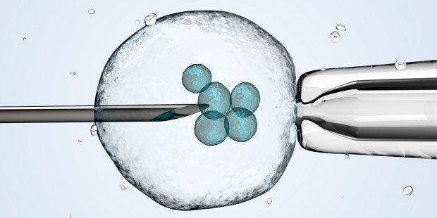 SCIENCE,INVITRO