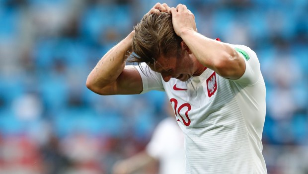 REFLEKSJE PO PORAŻCE POLAKÓW