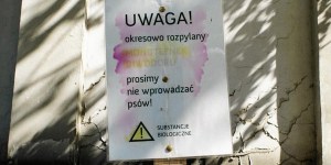 Dominikanie i monotlenek diwodoru. O co chodzi z tajemniczą substancją na trawniku?