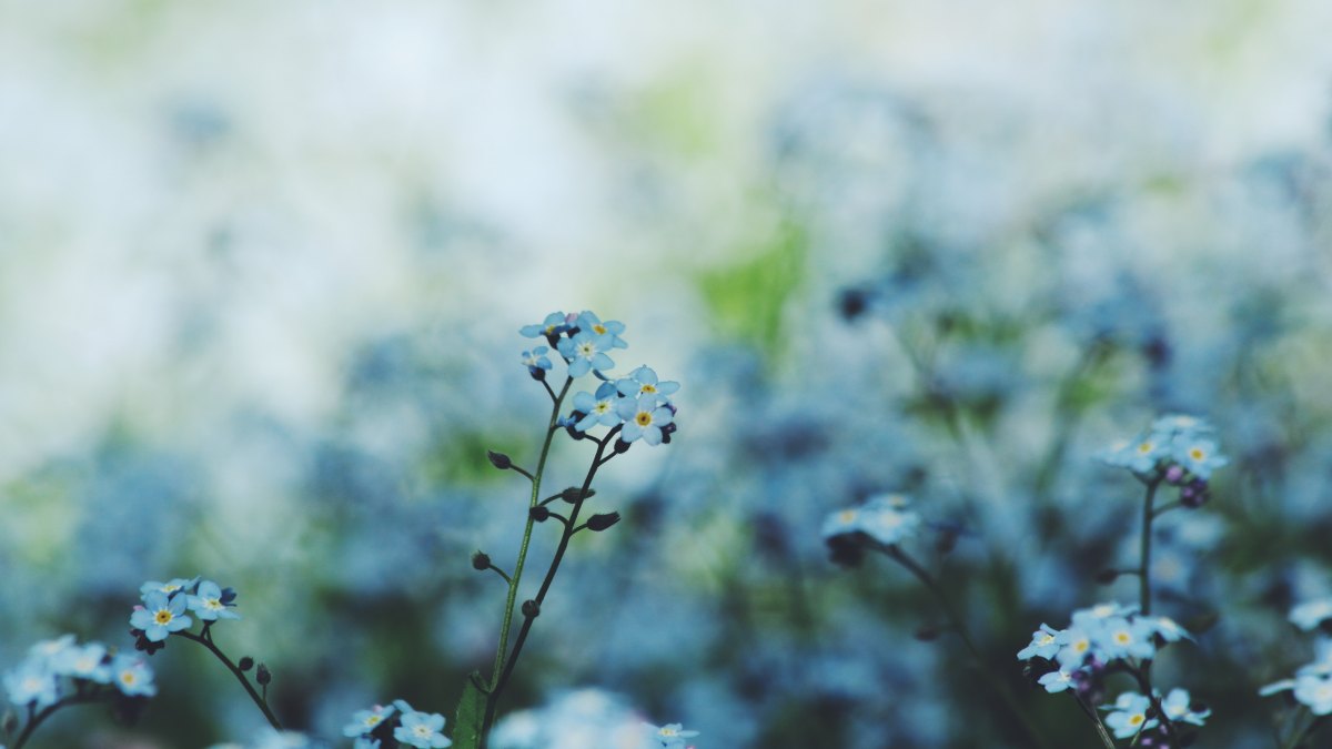 Fot. unsplash.com