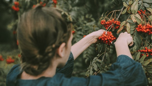 ŚWIĘTA NIEDOSKONAŁOŚĆ