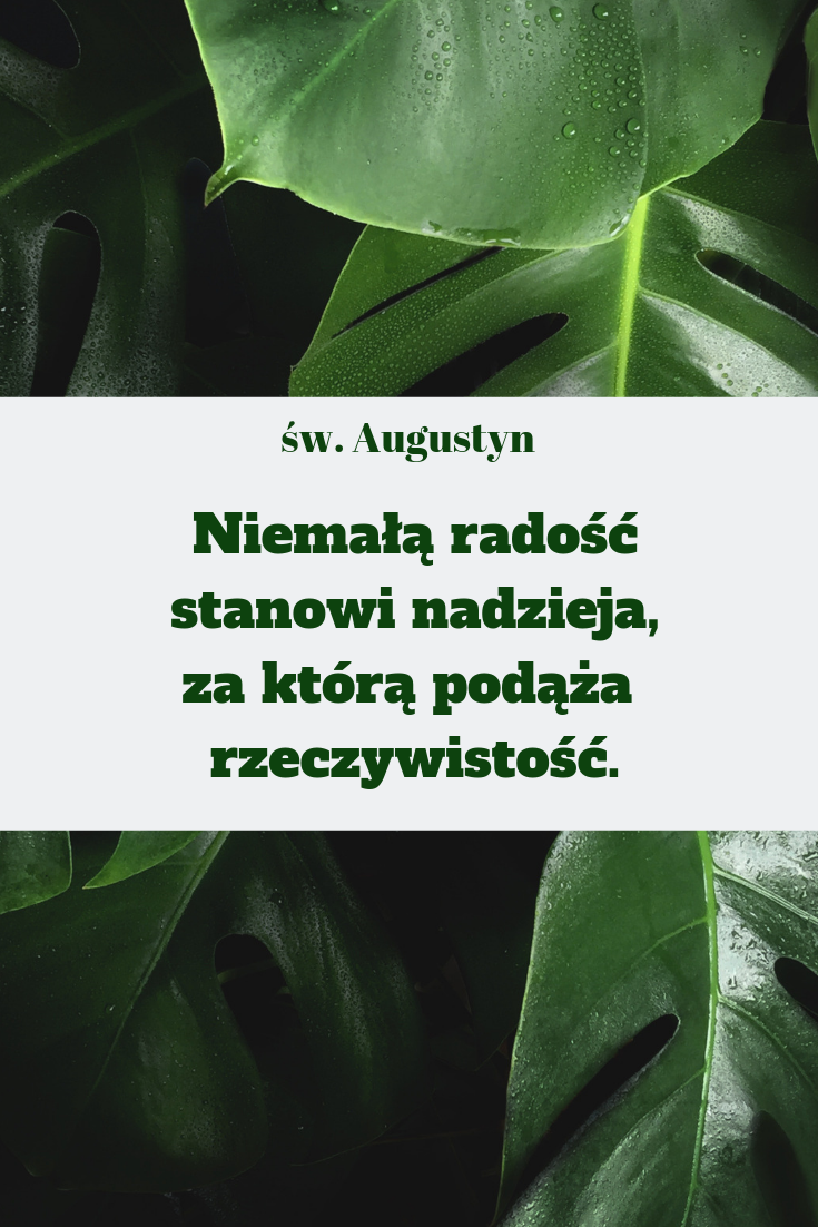 {"rendered":"[GALERIA] 10 cytat\u00f3w o nadziei, kt\u00f3re dodadz\u0105 ci skrzyde\u0142"}