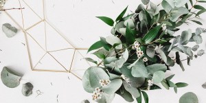 Nie tylko gwiazda betlejemska czy jemioła. Bożonarodzeniowe rośliny i ich tajemnice