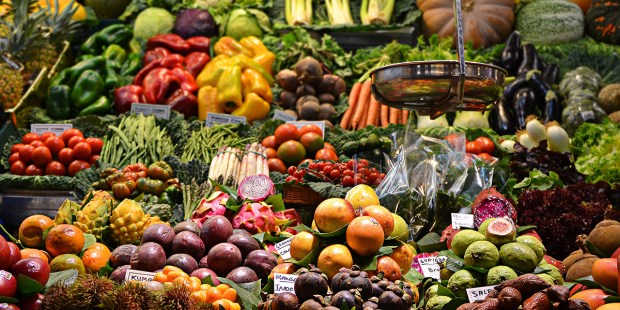 VEGANUARY