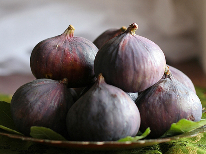 FIGS