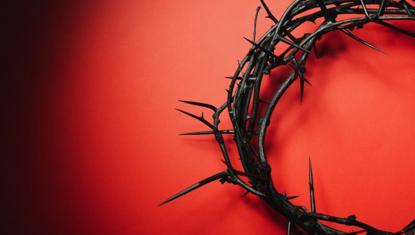 Corner Item Image - Cud „zakwitającego ciernia”. Relikwia Męki Pańskiej w San Giovanni Bianco