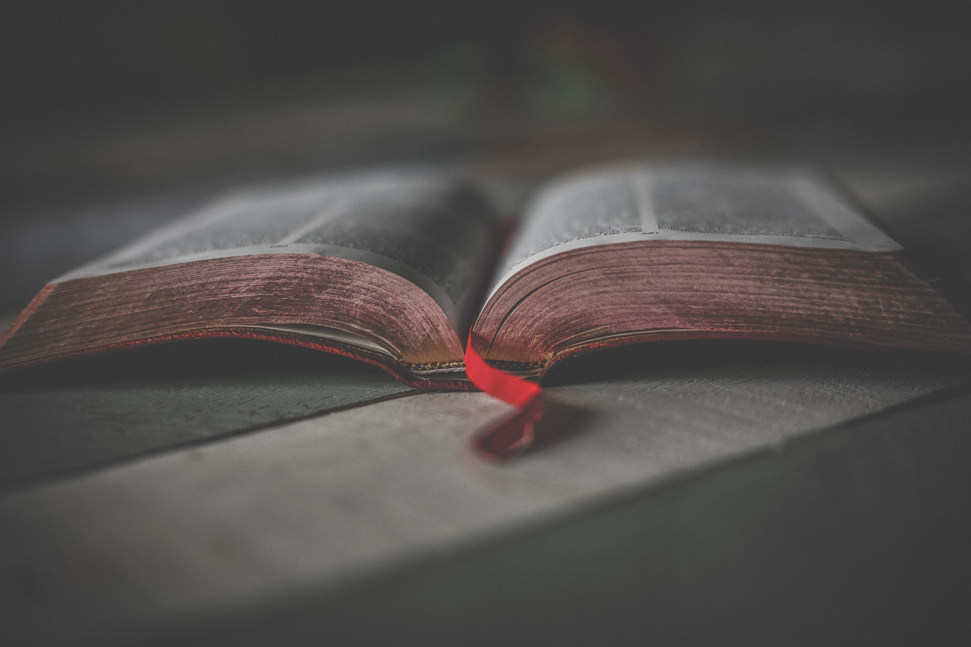 BIBLE