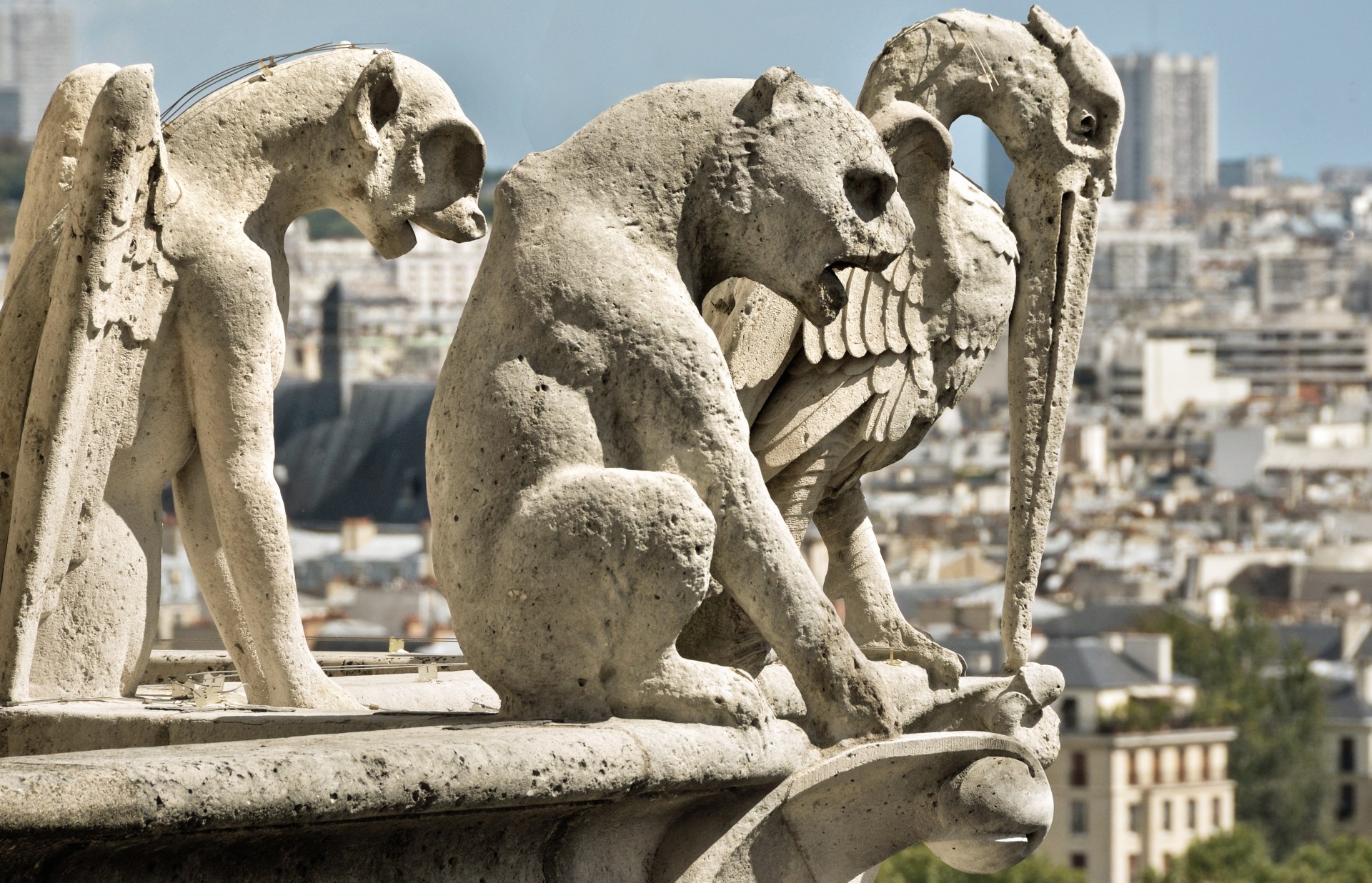 gargoyles_and_chimeras_1_notre-dame_de_paris_2011.jpg