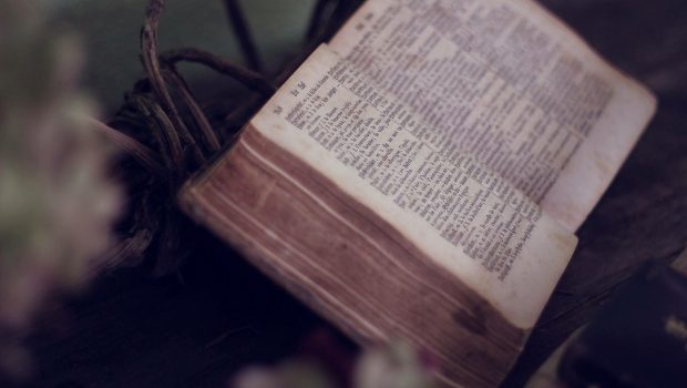 Otwarta Biblia wśród roślin