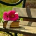 Cytat z Biblii dla ciebie na dziś 
 22 maja
