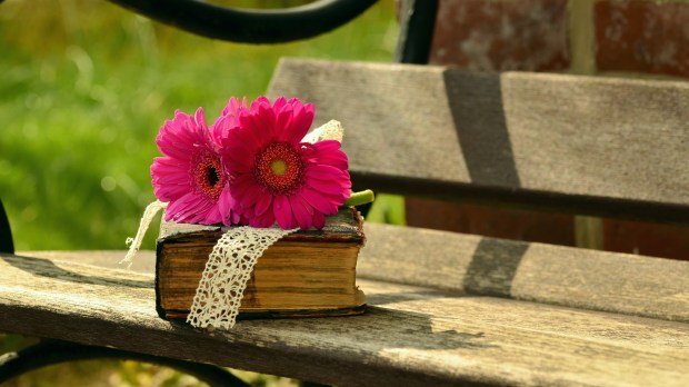 Biblia na ławce z różowym kwiatem