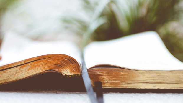 Otwarta Biblia