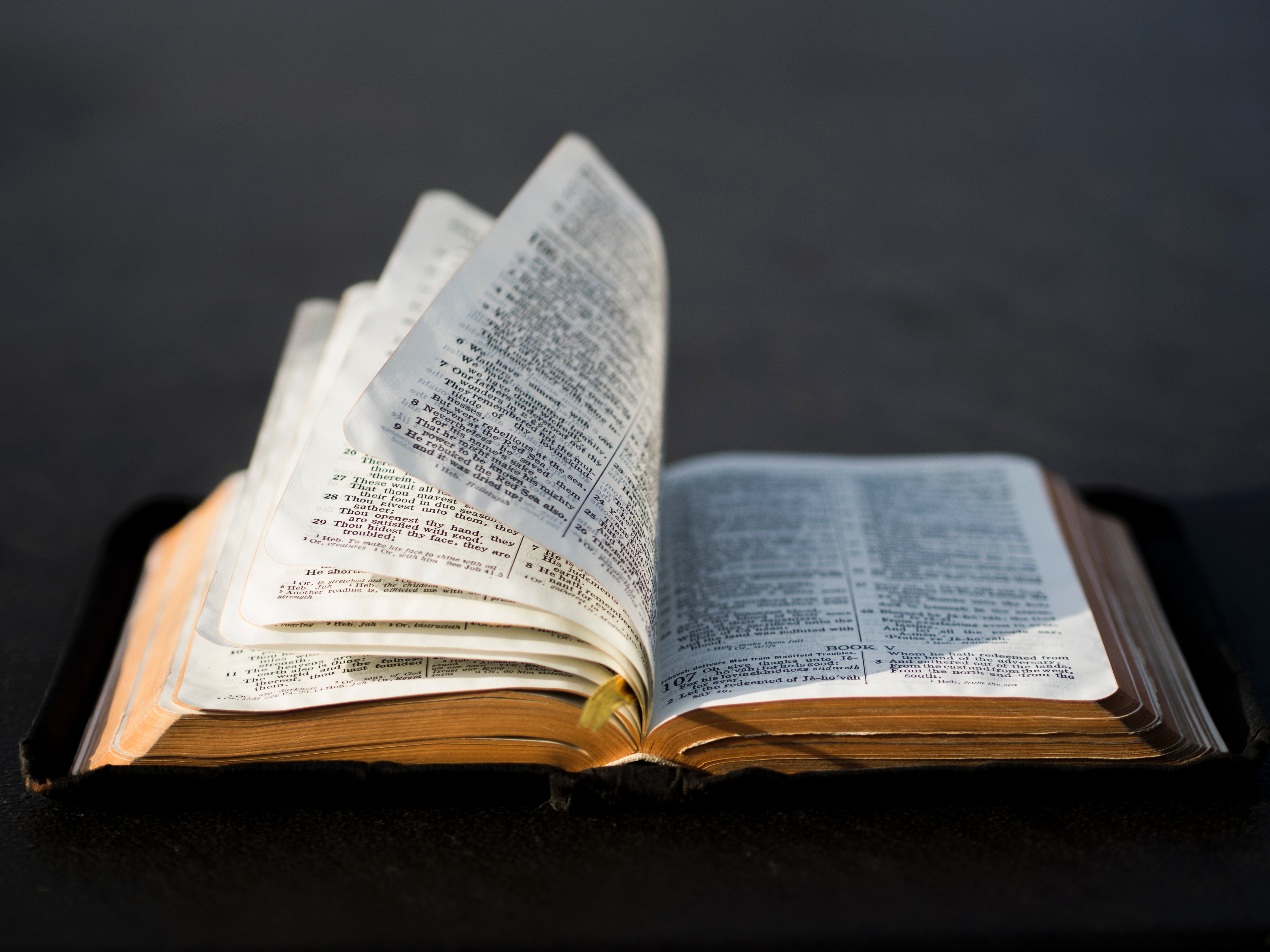 Otwarta Biblia ktorej kartki przewraca wiatr