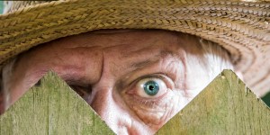 36 intrygujących katociekawostek, o których mogłeś nie słyszeć [cz. II]