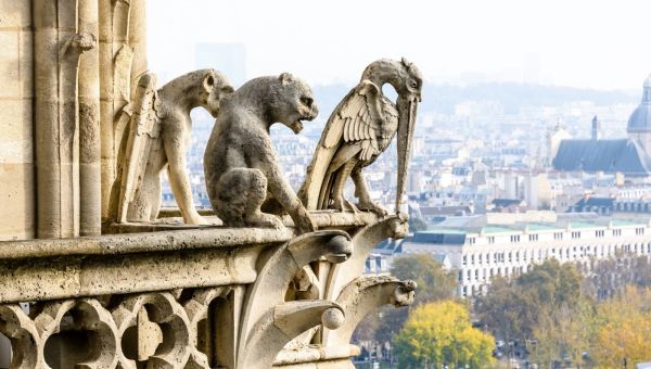 5 ciekawostek o katedrze Notre Dame