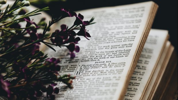 Otwarta Biblia z leżacymi kwiatami