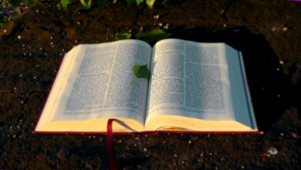 Biblia otwarta położona na ziemii