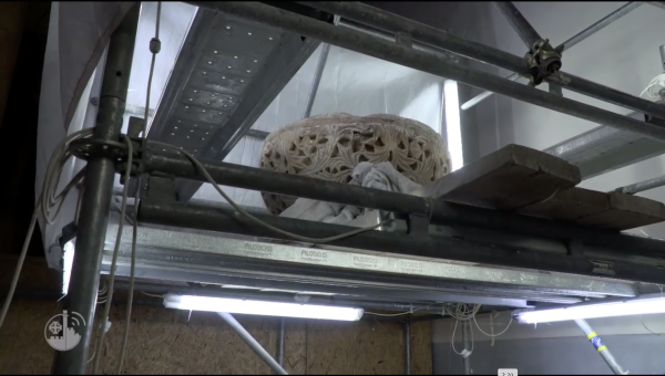 BAPTISMAL FONT; CHURCH OF THE NATIVITY