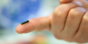 Biohacking. Czy staniemy się ludźmi-robotami?