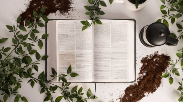 Biblia rosliny i kawa