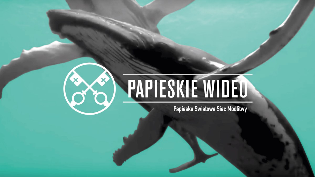 Papieskie wideo na wrzesień