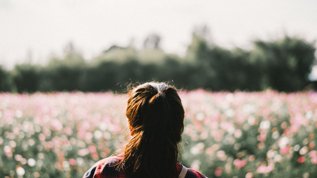 web3-brown-hair-girl-back-standing-meadow.jpg