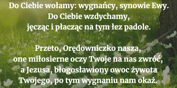 Modlitwa dla ciebie na dziś [20 listopada]