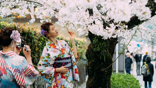 JAPONIA