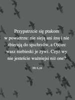 Cytat z Biblii Mt 6, 26