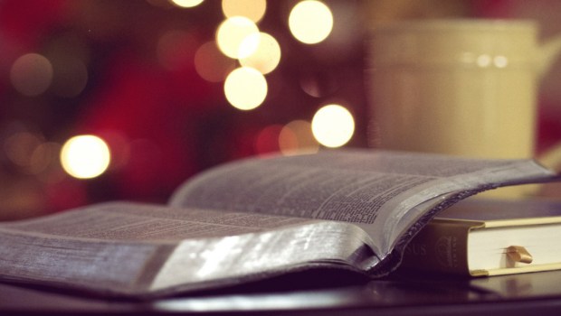 bible