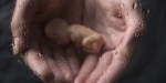 ABORCJA