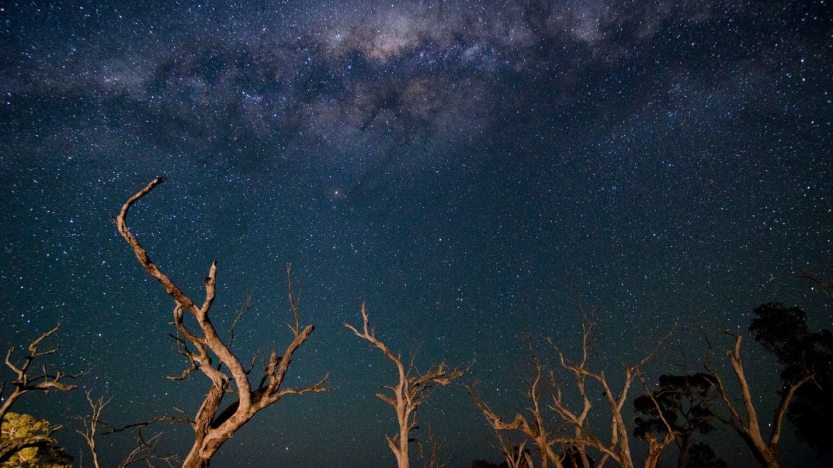 WEB-SKY-NIGHT-STARS-STARRY-Indigo Skies Photography-cc