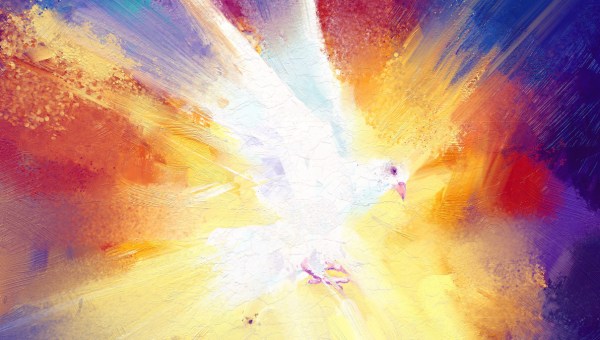 kolorowy obraz Ducha Świętego w postaci gołębicy