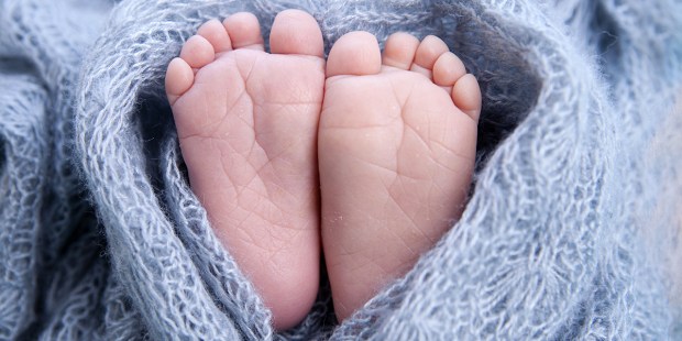 newborn