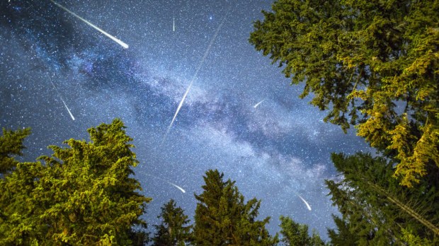 PERSEIDS