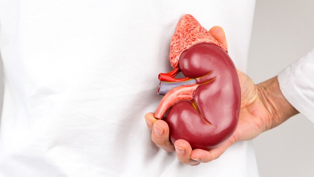 TRANSPLANTACJA NERKI