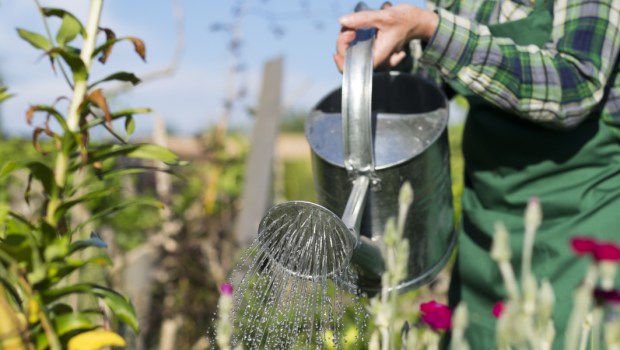 WOMAN, WATER, GARDEN