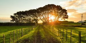 Poranna modlitwa z prośbą o błogosławieństwo Boże na cały dzień