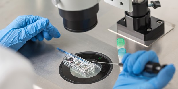 IN VITRO