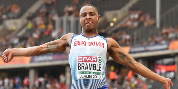 DAN BRAMBLE