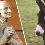 Drogi Vianney, jesteś ignorantem, na co przyda się Bogu osioł? Przyszły święty odpowiedział!