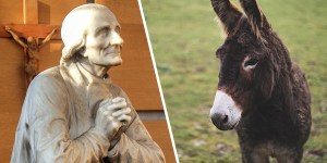 Drogi Vianney, jesteś ignorantem, na co przyda się Bogu osioł? Przyszły święty odpowiedział!