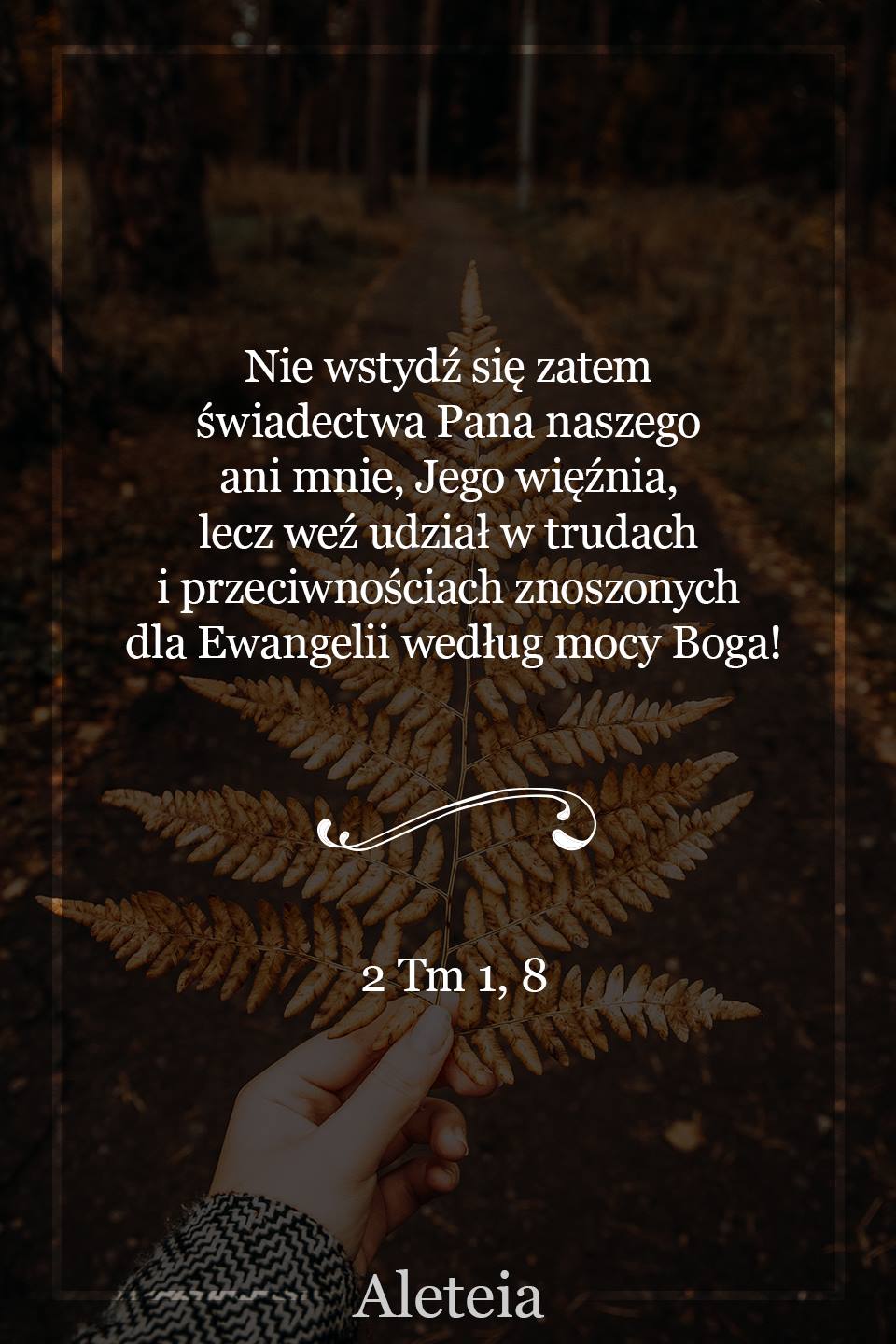 {"rendered":"Cytat z Biblii od Aletei dla ciebie na dzi\u015b [2 kwietnia]"}