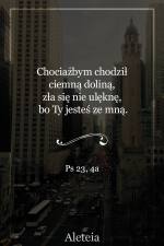 Chociażbym chodził ciemną doliną, zła się nie ulęknę, bo Ty jesteś ze mną. Twój kij i Twoja laska* są tym, co mnie pociesza. Ps 23,4a