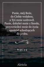 Panie, mój Boże, do Ciebie wołałem, a Tyś mnie uzdrowił. Panie, dobyłeś mnie z Szeolu, przywróciłeś mnie do życia spośród schodzących do grobu. Ps 30,3-4