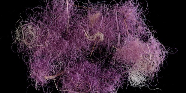 purple wool fibers