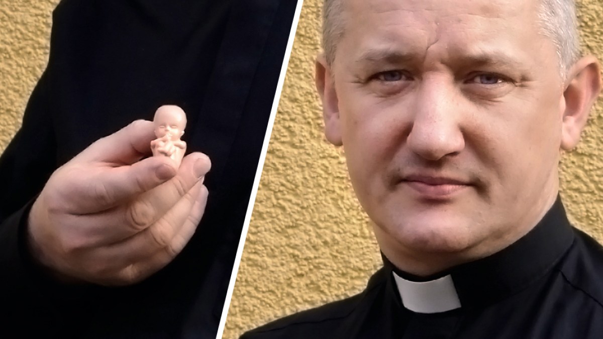 TOMASZ KANCELARCZYK