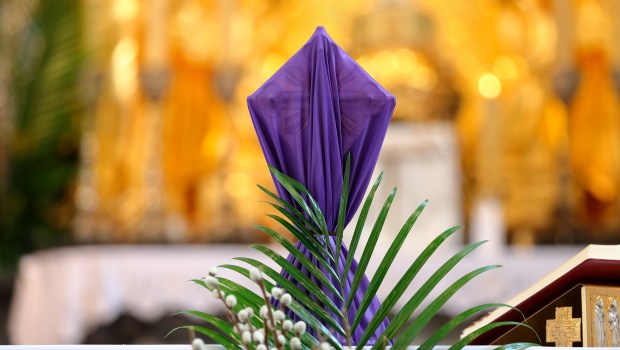 CROSS PURPLE