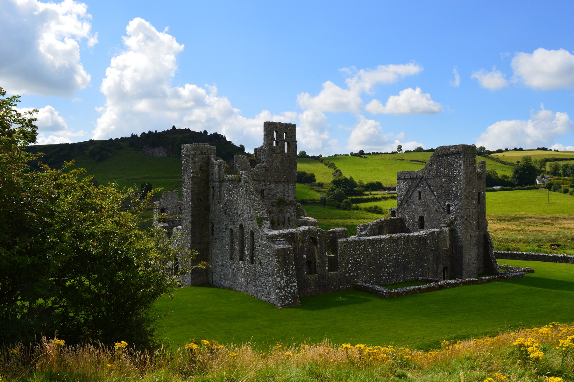Fore Abbey