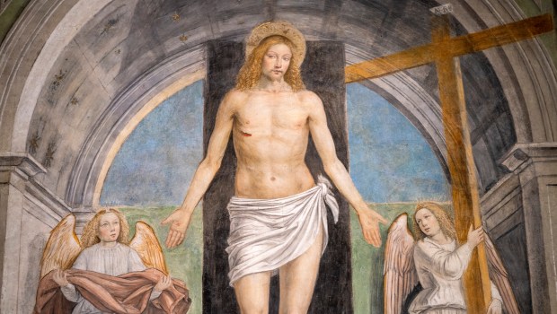 RESURRECTION, BERGOGNONE